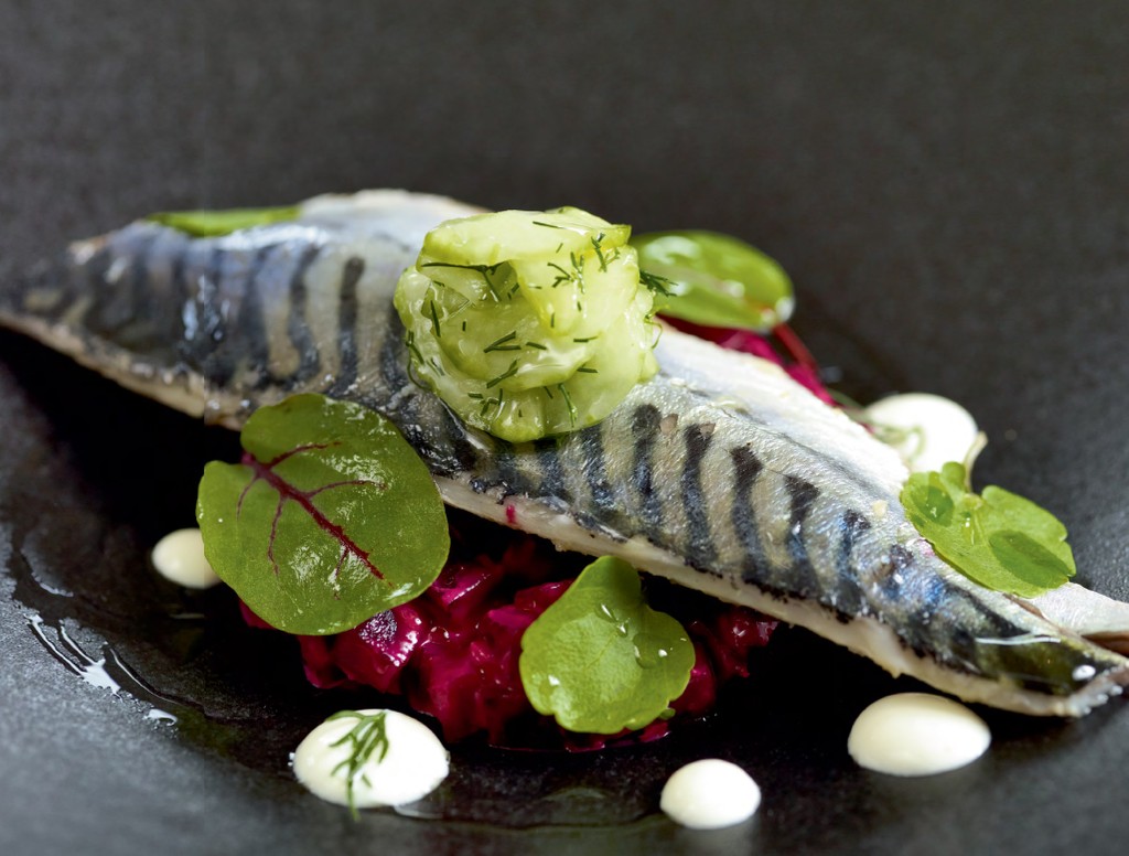 Soused Mackerel, Beetroot and Pickled Cucumber from The Chef Book by