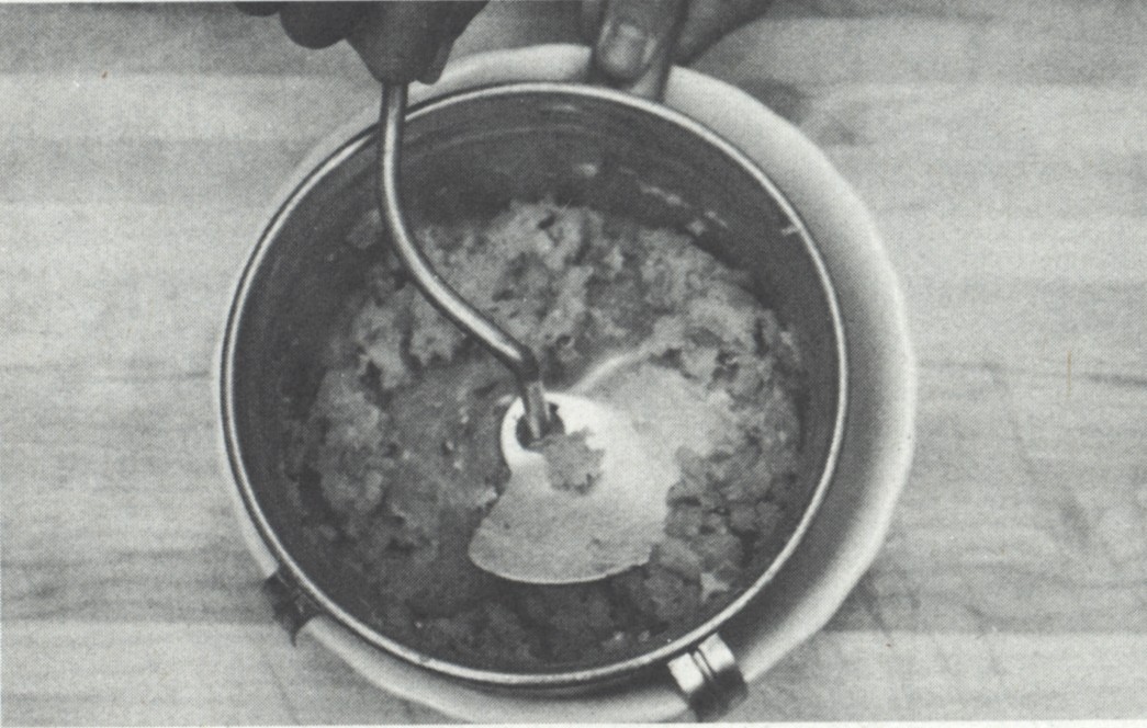 Fish Paste from Chinese Technique by Ken Hom