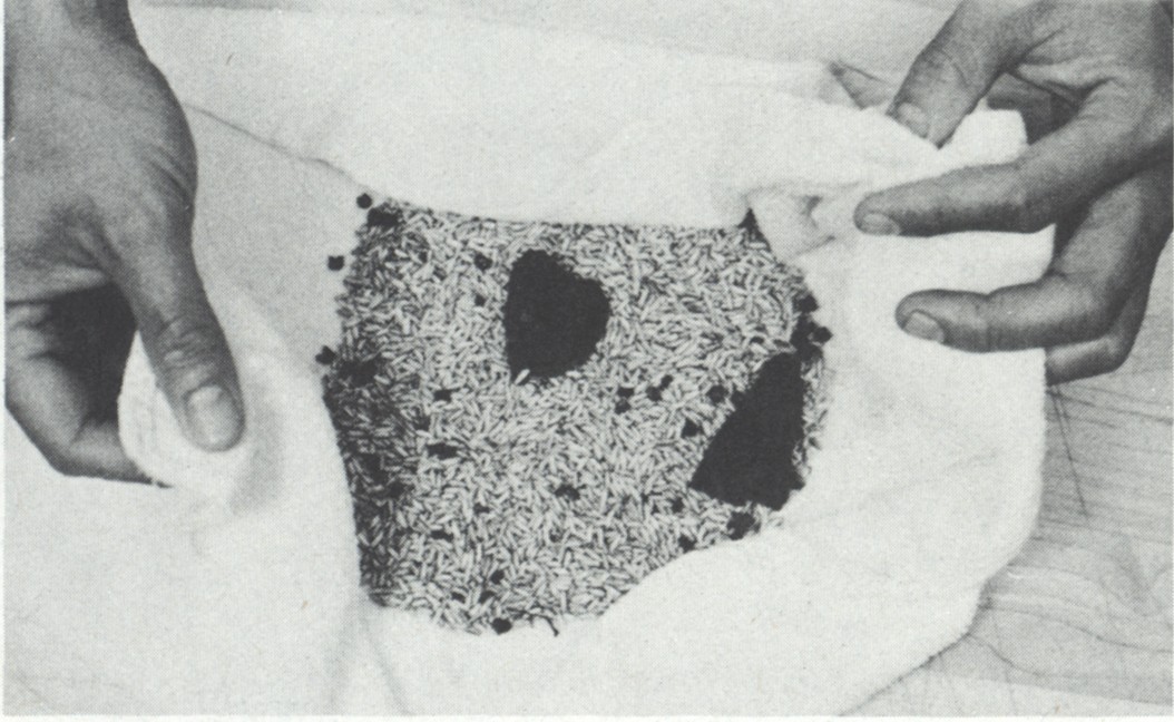 Rice Crumbs from Chinese Technique by Ken Hom