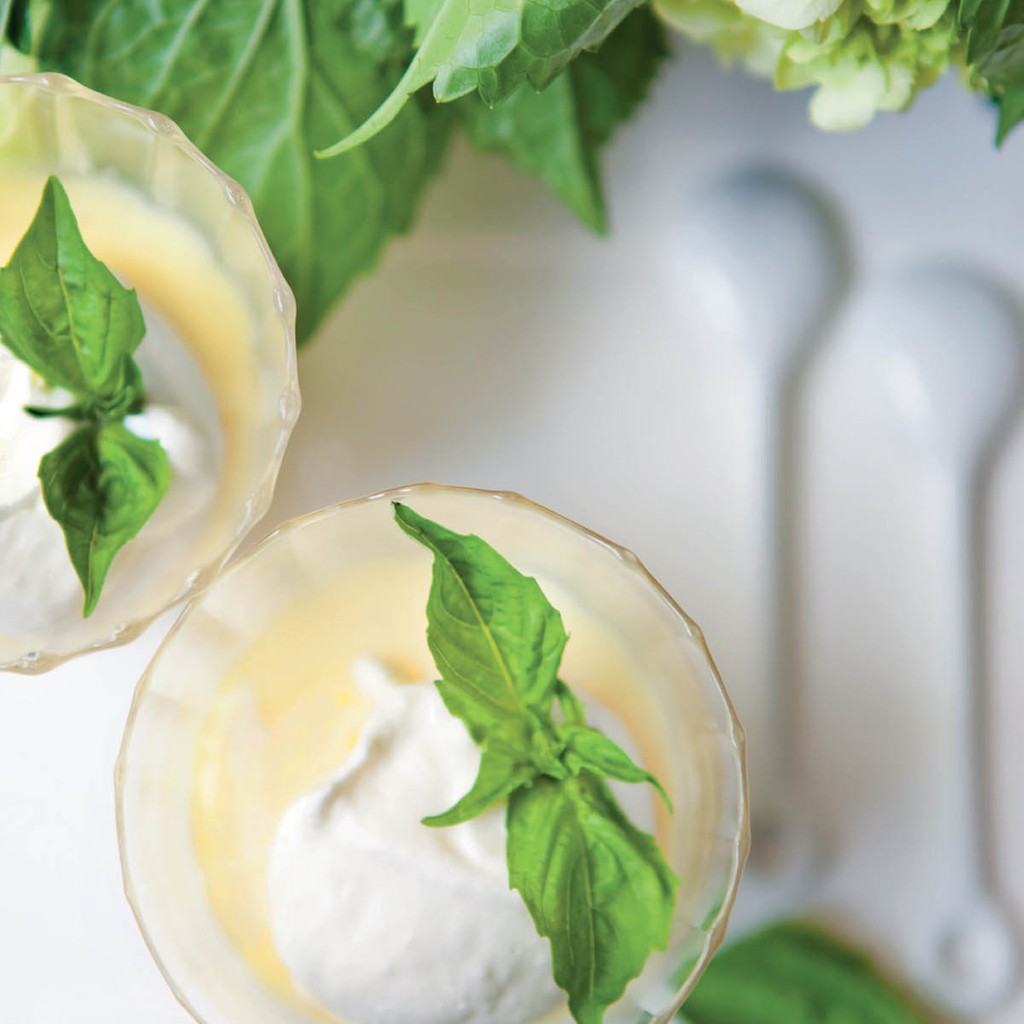 Basil Infused Custard with Lemon Chantilly Cream