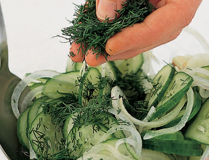 Sweet And Sour Cucumber With Fresh Dill From The Complete Guide To Traditional Jewish Cooking By 4548