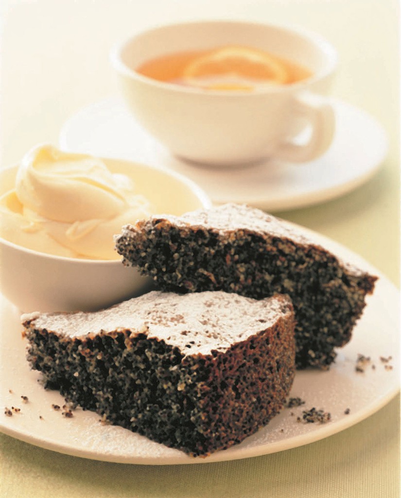 Russian Poppy Seed Cake from The Complete Guide to Traditional Jewish
