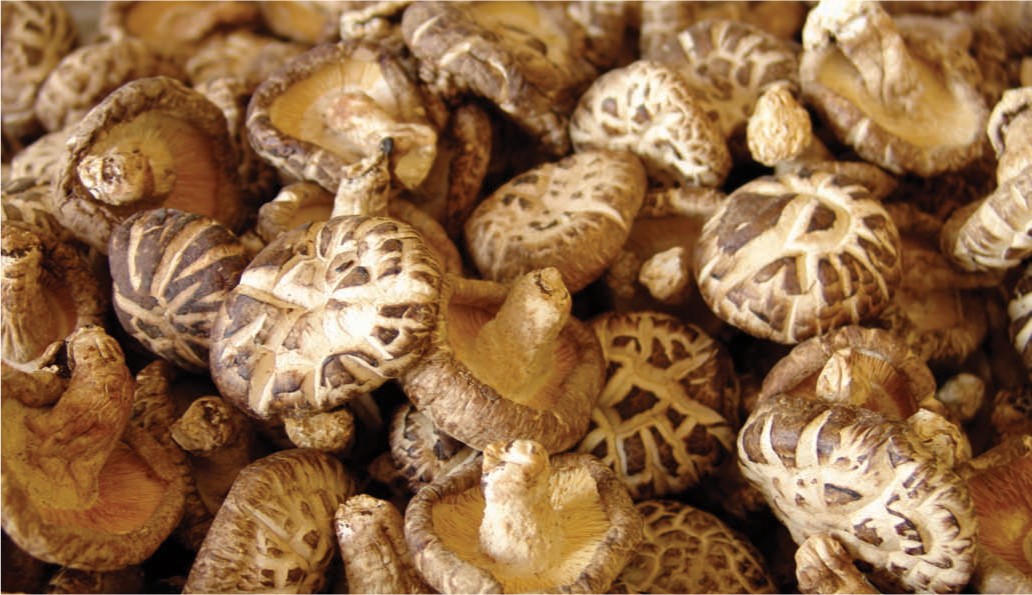 Chicken and Chinese Black Mushroom Stew from Southeast Asian Flavors