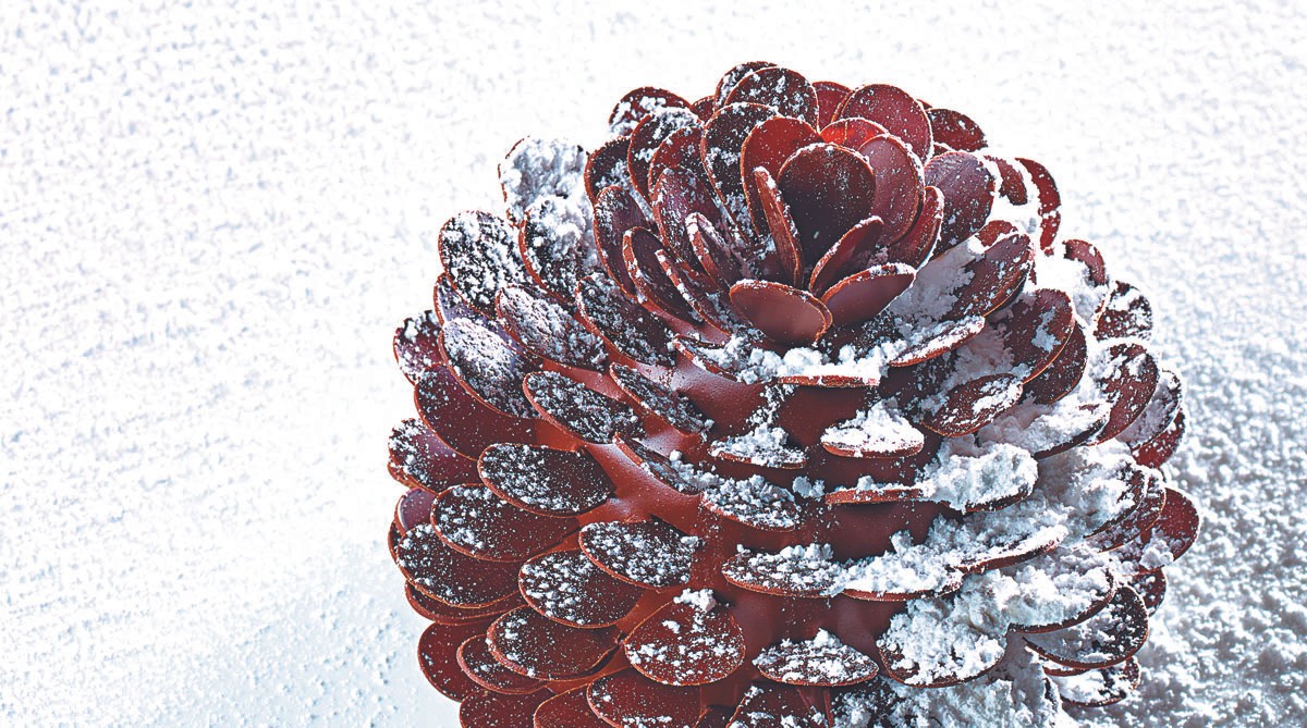 Gingerbread Pinecone from The Secret Recipes by Dominique Ansel