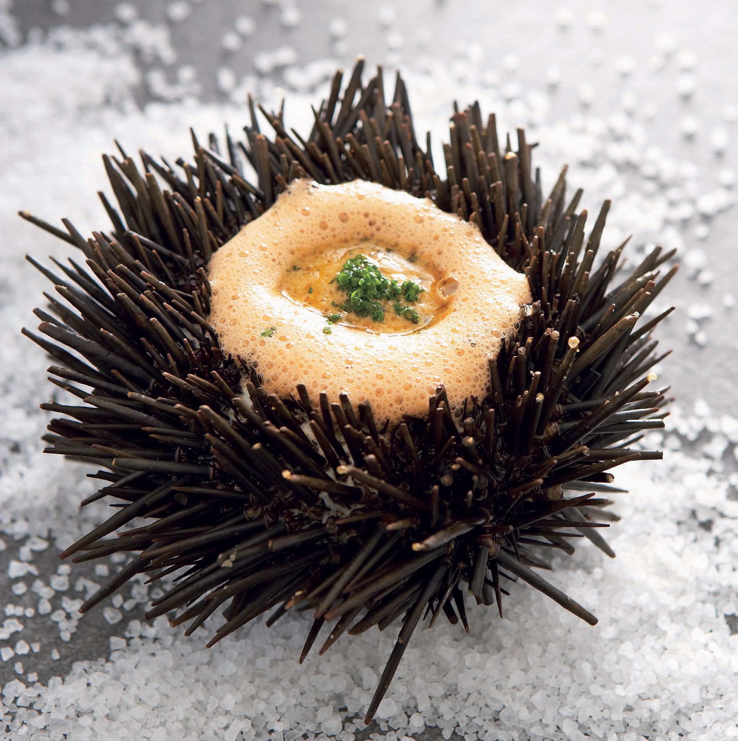 Mussel Soup with Sea Urchin Butter from Pier A Unique Australian