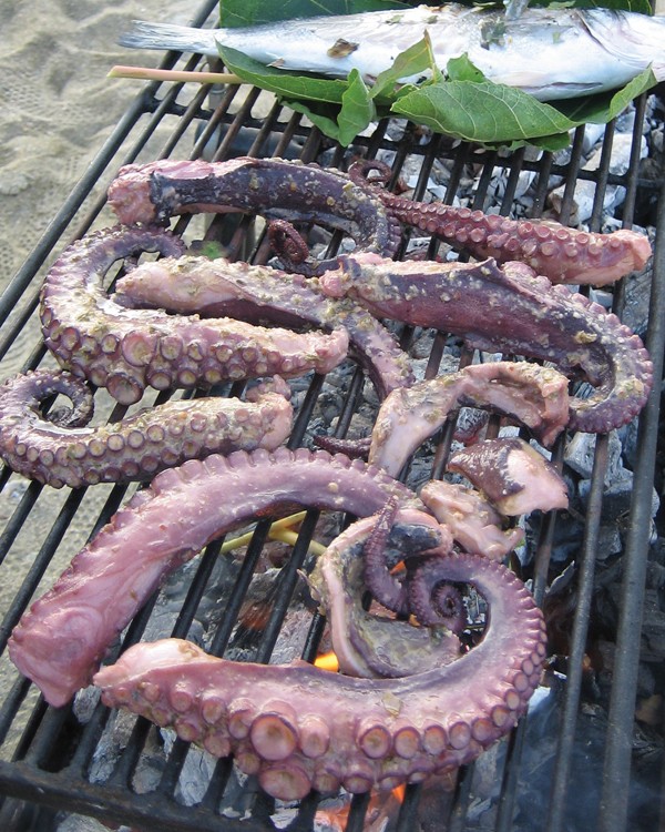 greek grilled octopus