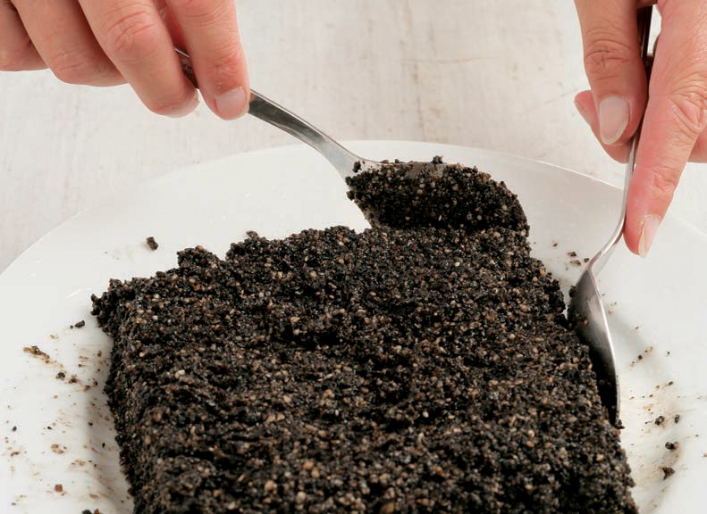 Black sesame seed fudge from The Complete Indian Regional Cookbook 300